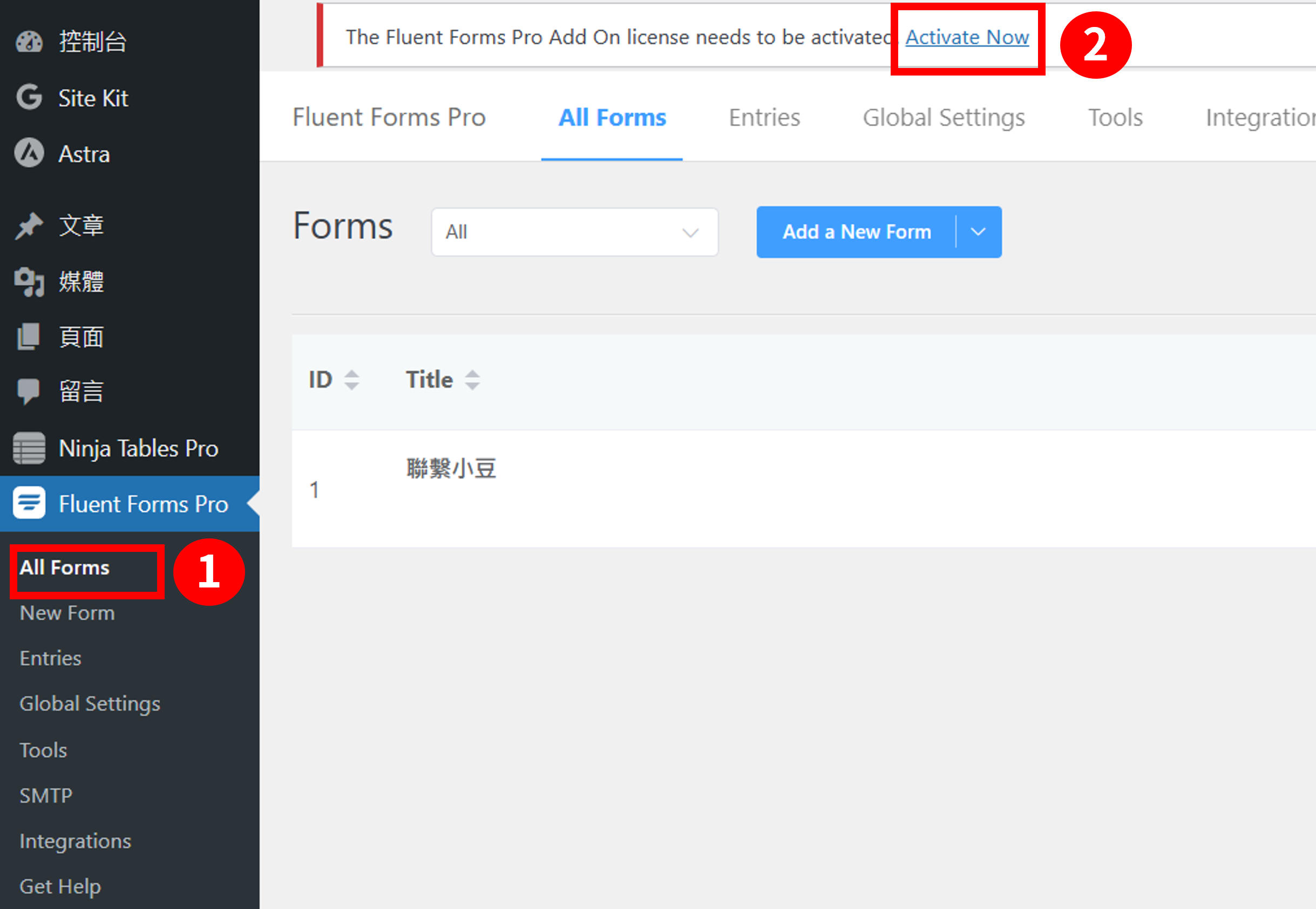 升級 Fluent Forms Pro