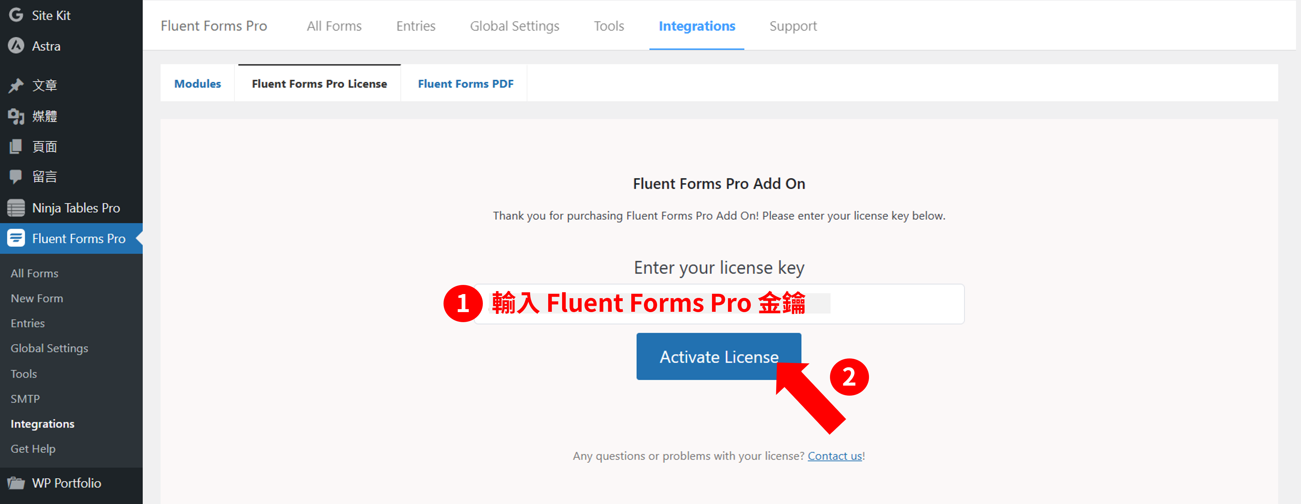 Fluent Forms Pro 金鑰